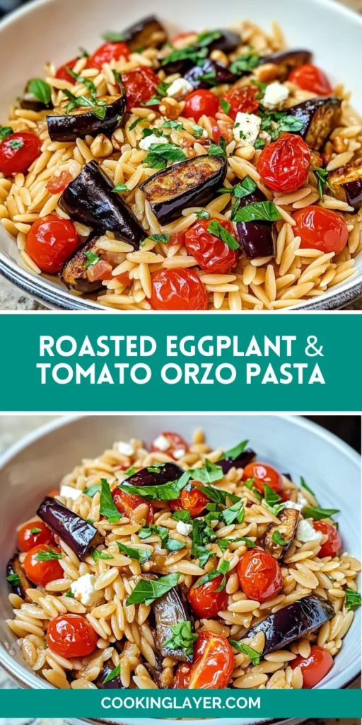 Roasted Eggplant & Tomato Orzo Pasta