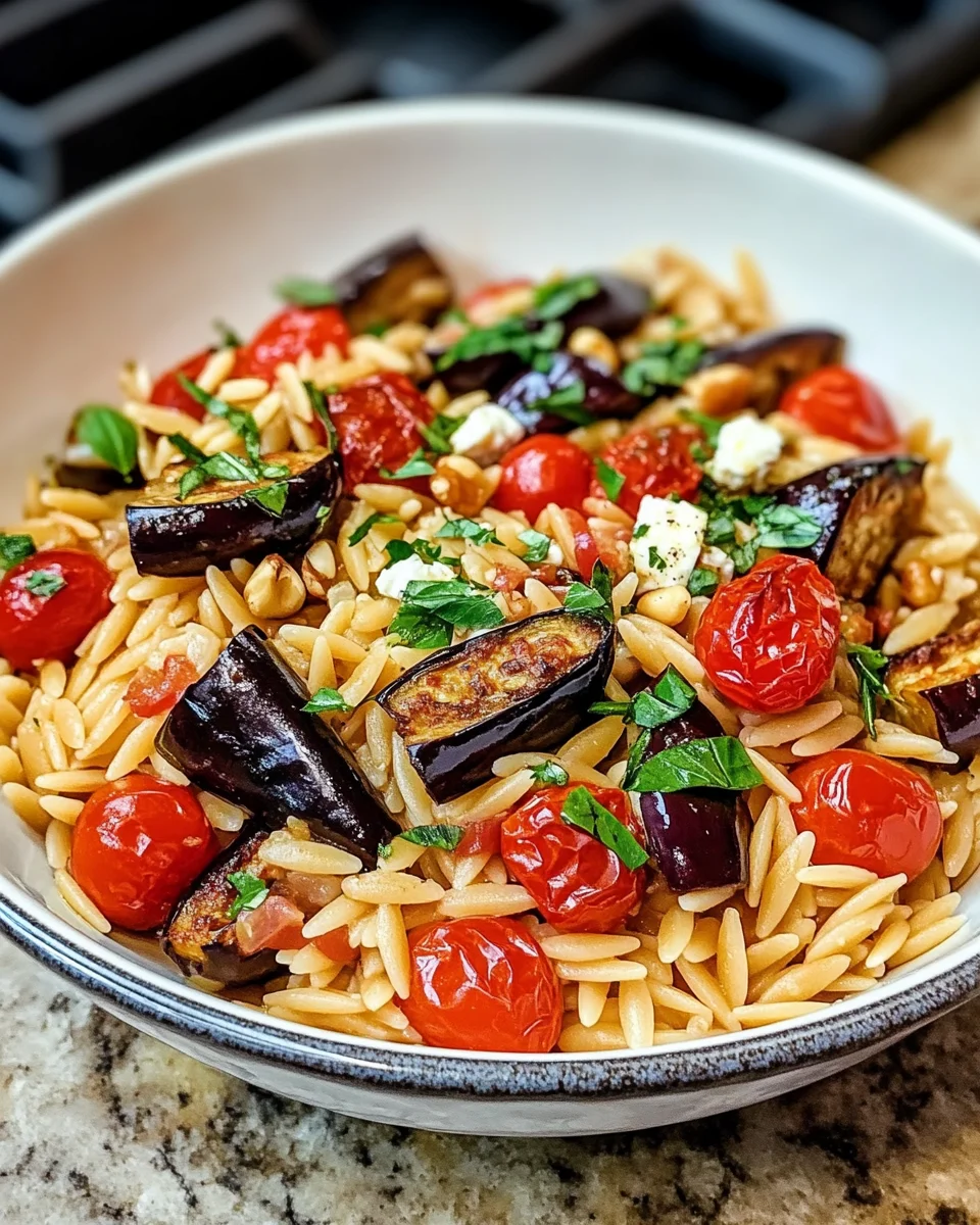 Roasted eggplant & tomato orzo pasta for a delicious meal!